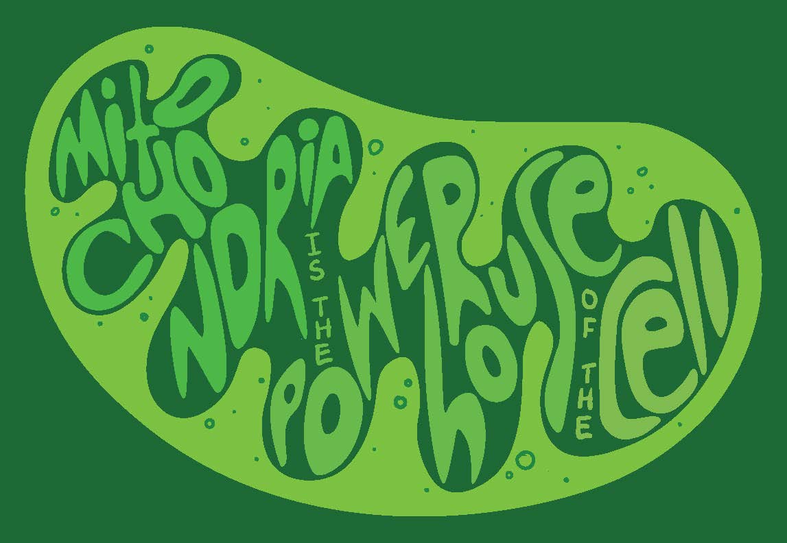 final handlettering_Page_1