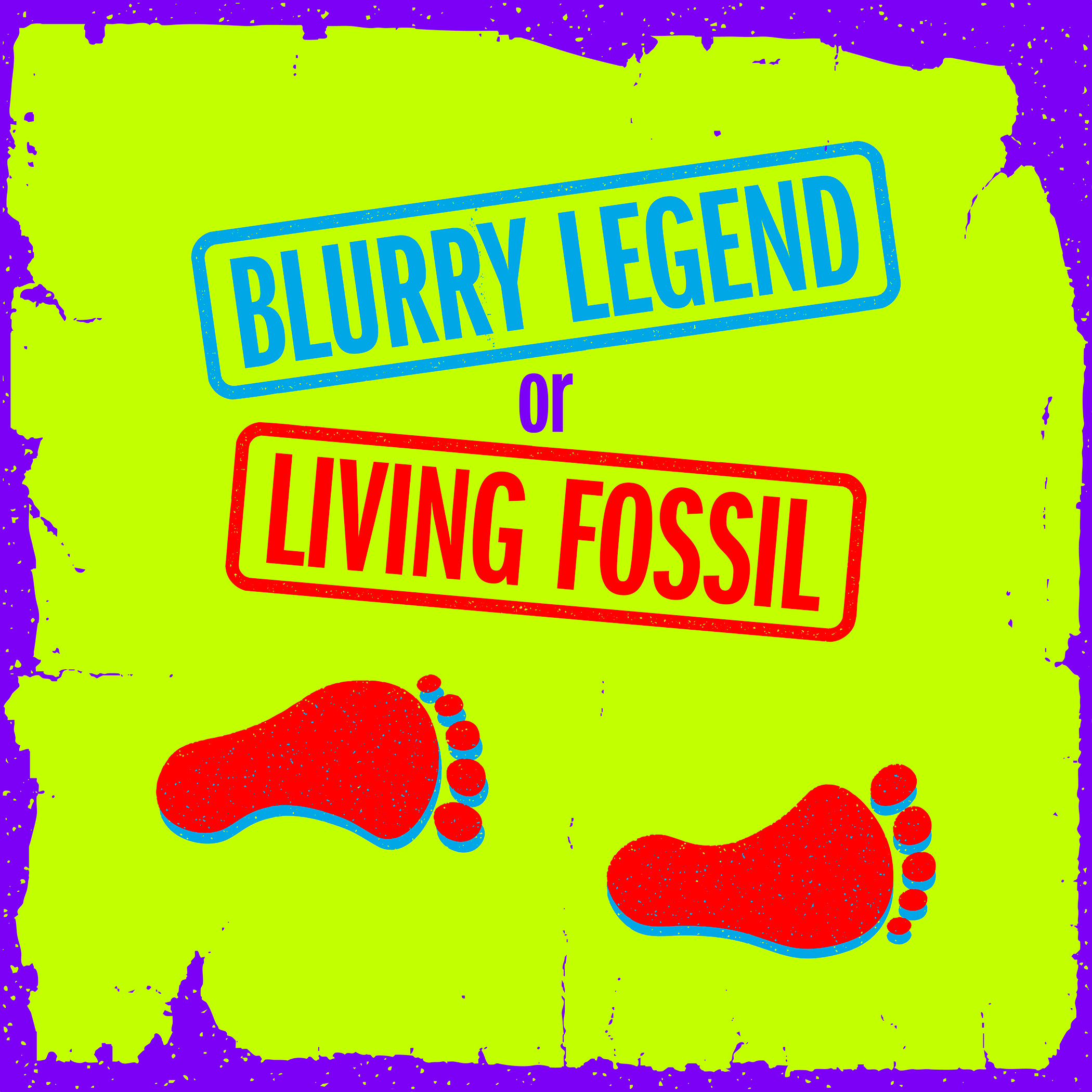 podcast thumbnail episode FOOT WEB